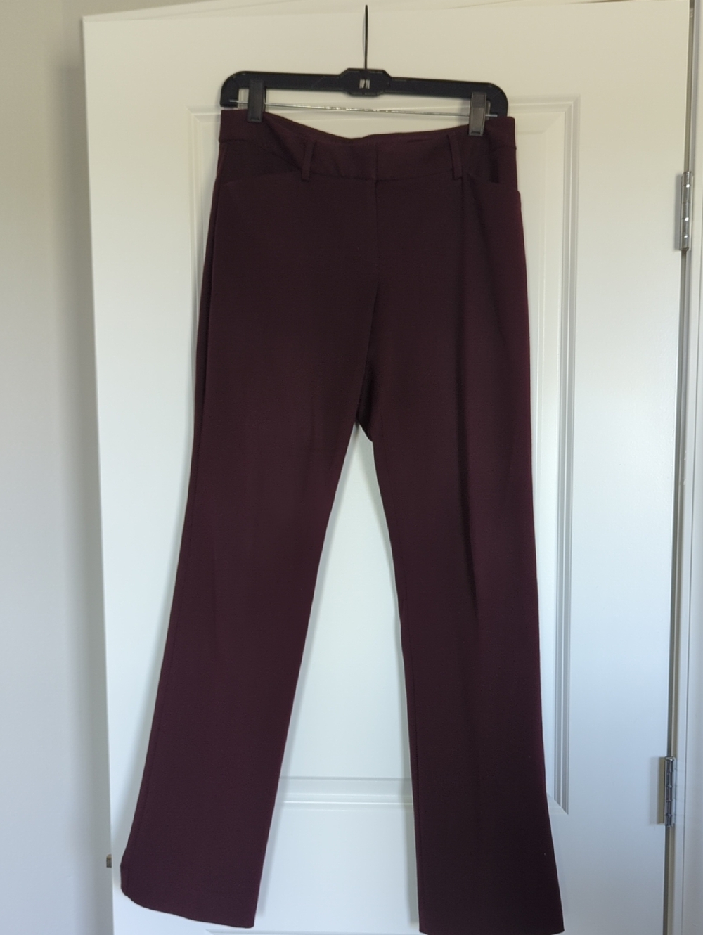 Women's Dress Pants in Deep Burgundy